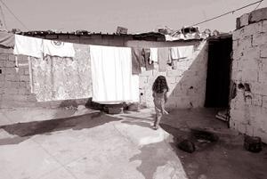 Alger - Les familles s’y sont installées durant la décennie noire:  Sept forêts envahies par les bidonvilles