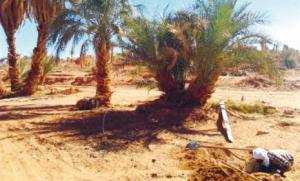 Algérie - Exploitation du gaz de schiste:  Les craintes des agriculteurs du Sud