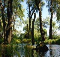 Jijel - Zone humide de Beni Belaïd:  La protection de l’environnement, d’abord une affaire de prise de conscience