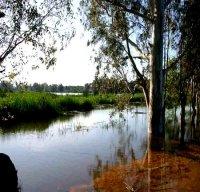 El Tarf - Une richesse faunistique et floristique exceptionnelle