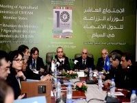 Méditerranée -  Faire face aux changements climatiques pour développer les zones rurales