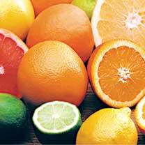 11e ÉDITION DES AGRUMES DE TIPASA:  Les oranges en fête