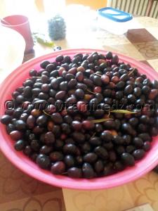 Tlemcen plats traditionnels - Olives noires à secher