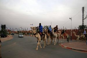 Caravan To Timimoun - Mars 2009