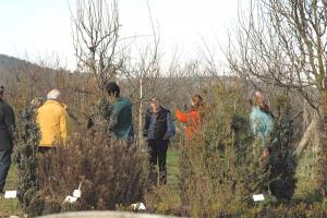 KHENCHELA : Centre de formation de Tamza:  Plus de 18 stagiaires en arbres fruitiers sur le terrain