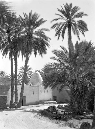 Marabout Sidi Lahcene du vieux biskra !