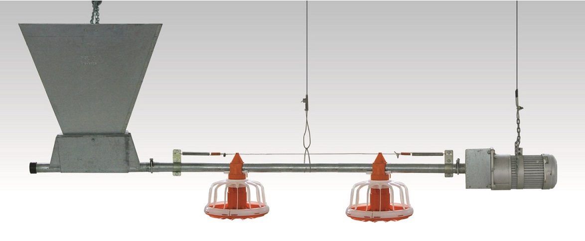 Système d’alimentation et d'abreuvement de poulet de chair