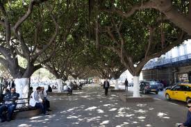 ANNABA -  L'APC refuse le passage du tramway par le cours de la Révolution