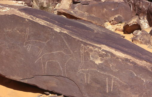 Mise en place en 2014 d’un dispositif de protection du site préhistorique de Taghit