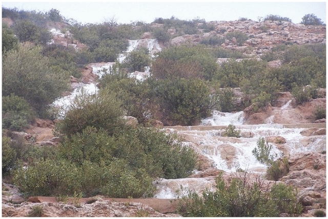 SEBDOU - Des cascades à découvrir