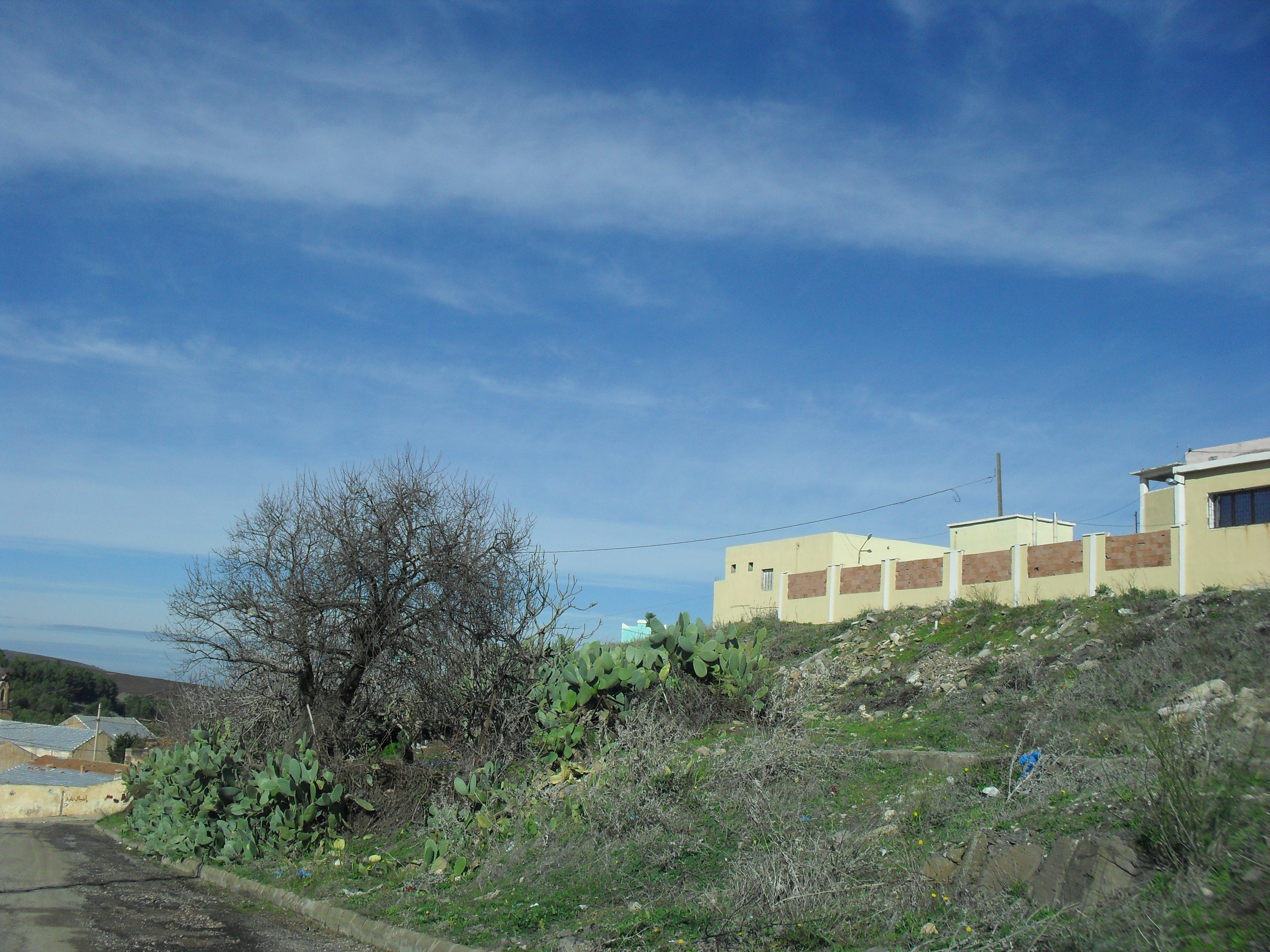 coté marabout sidi elhachemi (ex quartier de l'armée française)