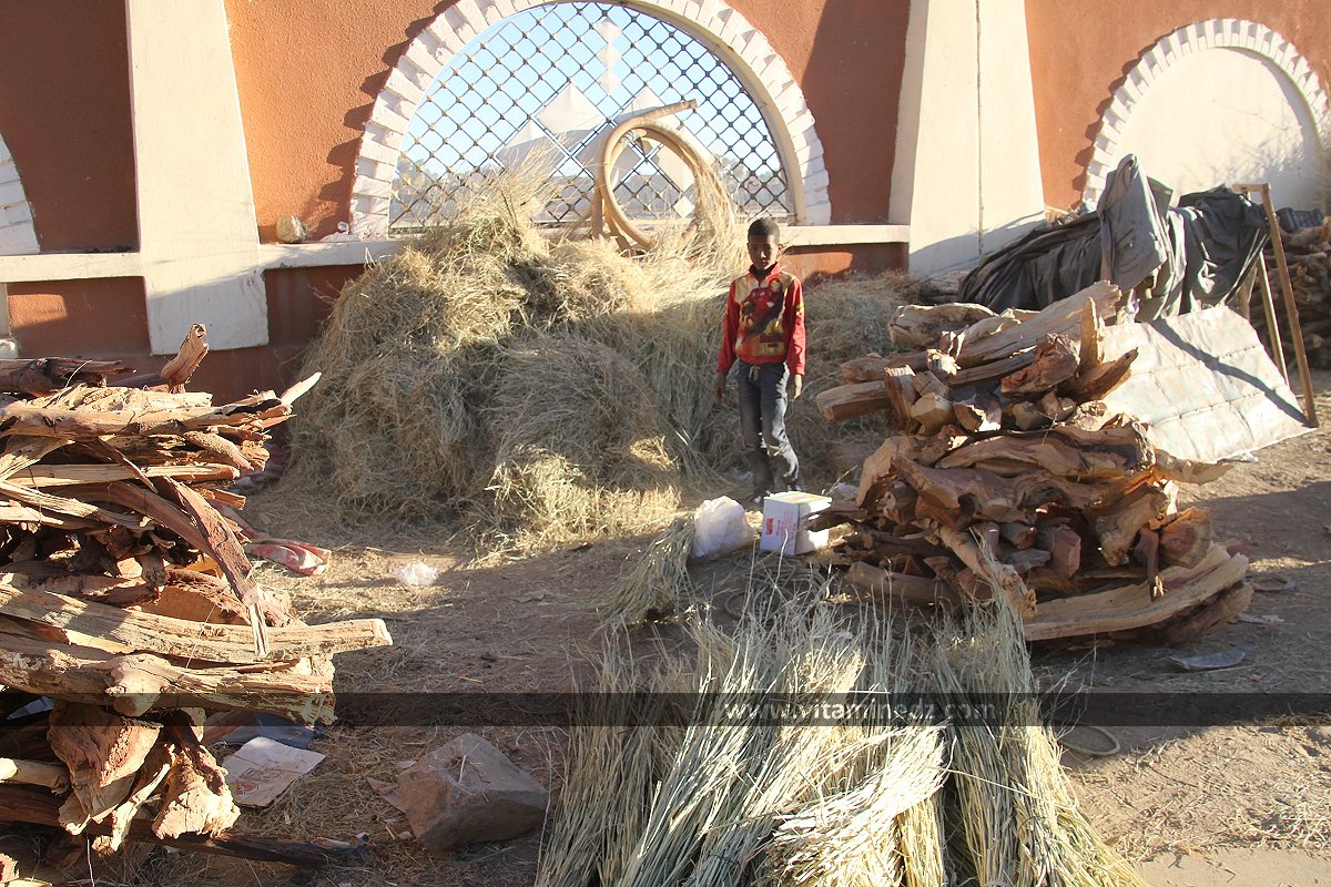Travail des enfants à Tamanrasset