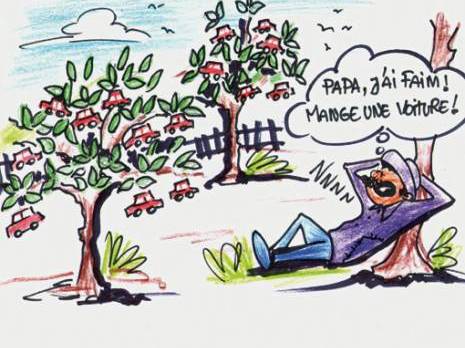 Plaines du littoral de la wilaya de Jijel:  Des terrains agricoles transformés en parkings