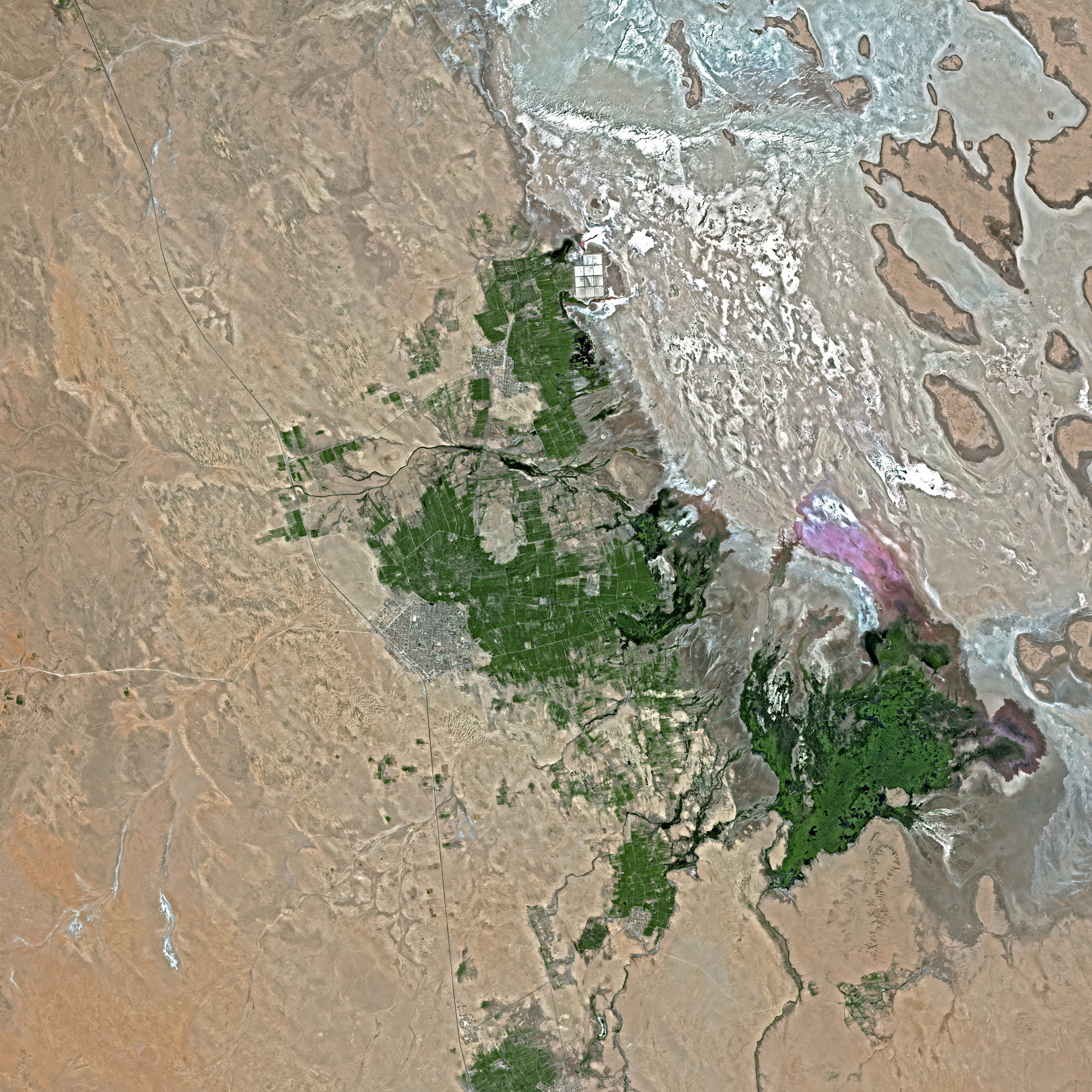 Image satellite SPOT 5 - Chott Melrhir, Algérie