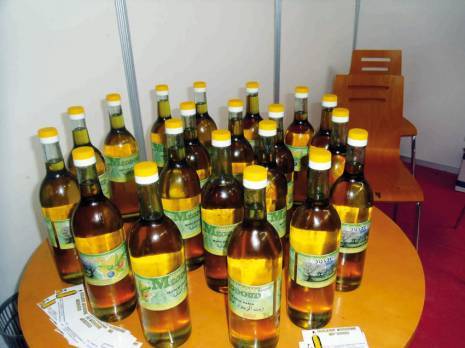 Wilaya de Boumerdès -  La production oléicole en baisse