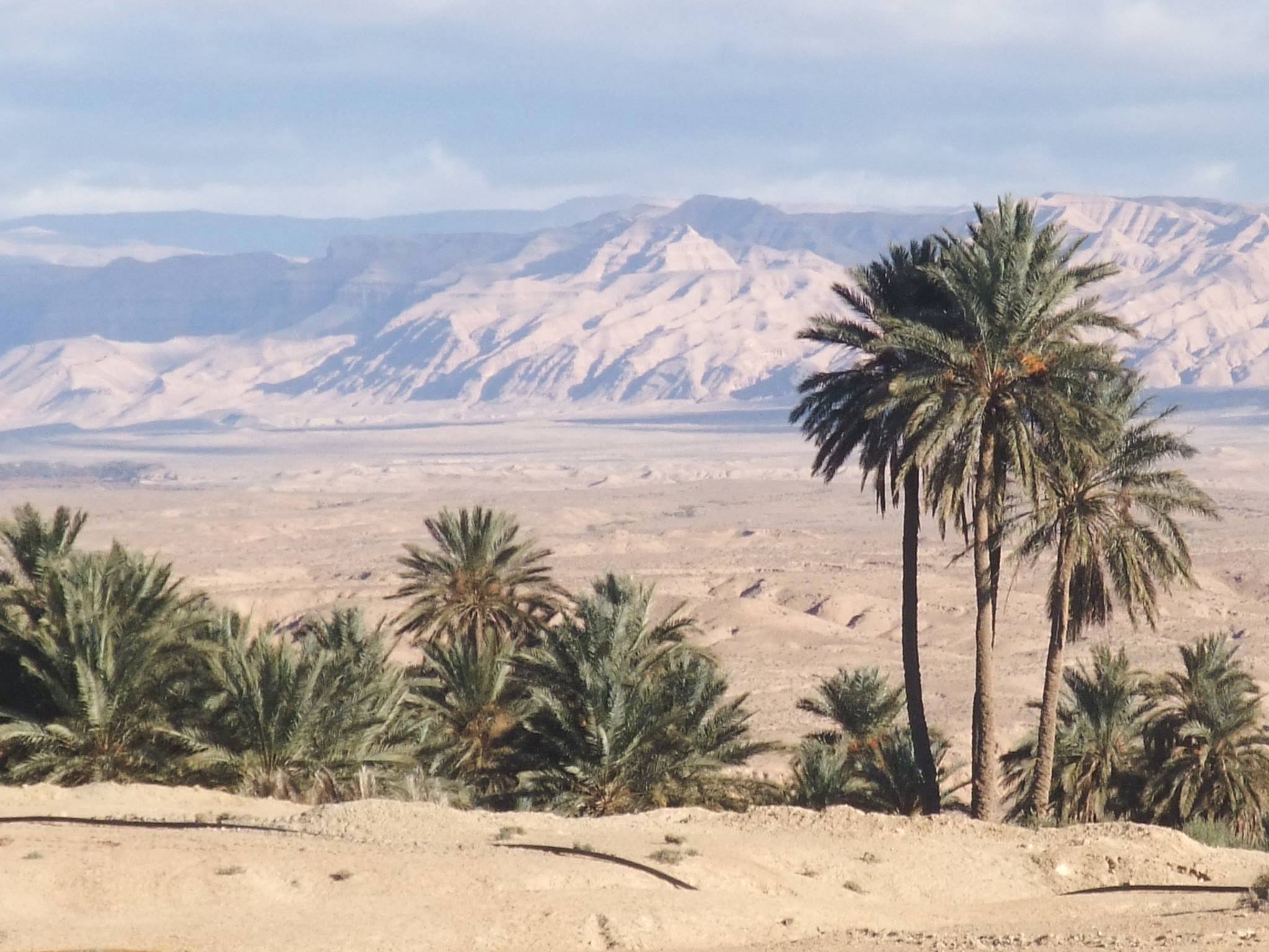 منظر  طبيعي