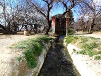 Taxlent (Batna) - Des chercheurs et des étudiants à la découverte de la source de Tinibaouine