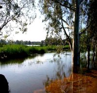 El Tarf - Une richesse faunistique et floristique exceptionnelle