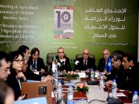 Méditerranée -  Faire face aux changements climatiques pour développer les zones rurales