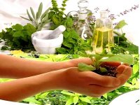 Les herbes médicinales ont la cote à Tissemsilt