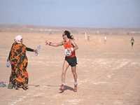 Maghreb - 14e édition du Sahara-Marathon 300 sportifs représentant 20 pays y prennent part