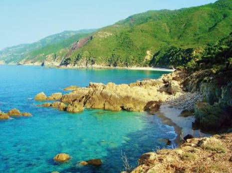 Classement en aire protégée de Cap Bougaroune-Oued Zhor: Un immense sanctuaire de la biodiversité