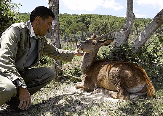 Centre cynegetique de Zeralda -  Au service de la protection de la faune 
