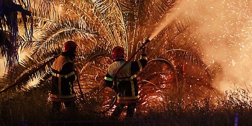 Tahart (Abalessa) - 340 palmiers dattiers ravagés par les flammes