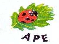 ASSOCIATION POUR LA PROTECTION DE L’ENVIRONNEMENT (APE) DE TIZI-OUZOU:  Le théâtre pour développer une écolo-attitude