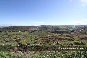 Tlemcen - Station d\'epuration de Ain El Hout