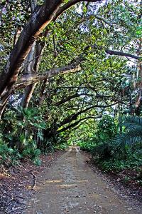 jardin d'essais el hamma