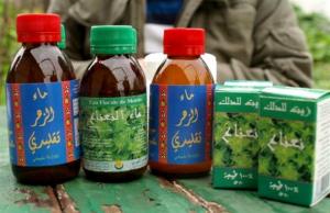 Alger - EVE 2014: nécessité d’investir dans les produits de beauté naturels