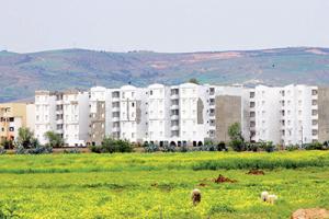 Programmes de logements à Alger: Forte pression sur les terres arables