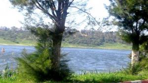 Le lac de Reghaïa, réceptacle de déchets industriels hautement toxiques