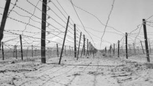 Souk Ahras -  Un album de dessins d’enfants intitulé  La mine antipersonnel… des maux aux mots