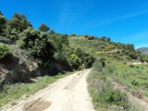 Printemps avec verdure et soleil