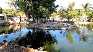 Algérie - L’administration des forêts sera réhabilitée (ministre)