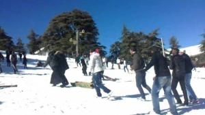 La neige refait son apparition sur les hauteurs de Chréa (Blida)