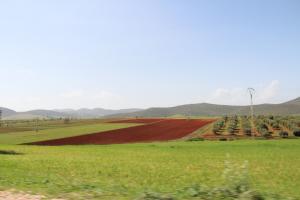 Sur la route de SAADNIA