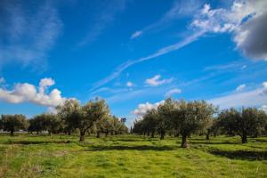 Sur la route de Sid Sofi