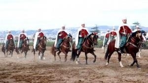 Salon national du cheval en mai prochain à Tiaret