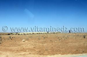 Commune d\'El Bnoud (Wilaya d\'El Bayadh)