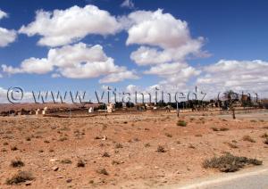 Marabouts et Kssar de Bou Semroune (Wilaya d\'El Bayadh)