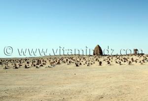 Cimetiere et Marabout de Sidi El Hadj Lahcene à Guentour - Commune Ouled Aissa (Adrar)