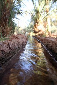 Seguiet, Fouggarat, Palmeraie de Guentour Commune Ouled Aissa (Adrar)