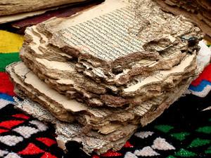 Manuscrit attaqué par les termites, Ouled Saïd Algérie