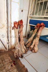 Tourisme Timimoun  Marché de Timimoun, Pieds de chameaux chez le boucher