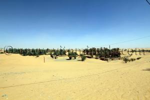 Aghlad, Commune Ouled Said (W. Adrar)