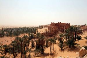 Ksar de Guentoure Commune Ouled Aissa (W. Adrar)