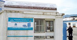 Exploitation de Liège à Béjaïa:  Une entreprise face à des difficultés pour écoulement de son produit...